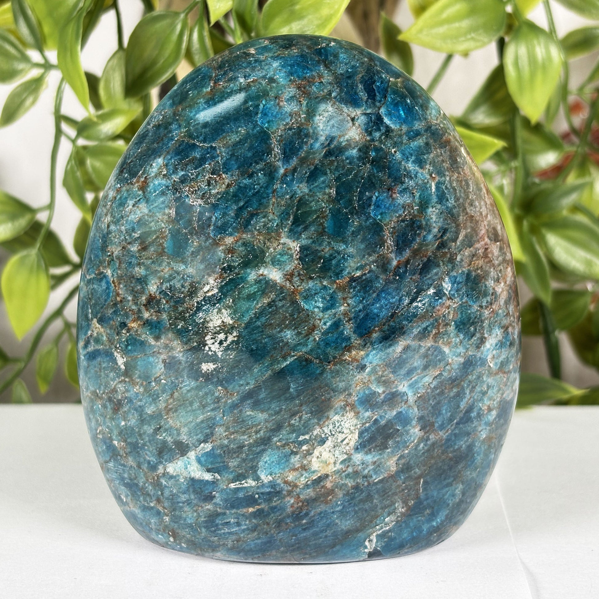 Apatite Crystal Freeform - Gem Avenue Retail