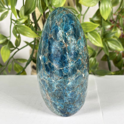 Apatite Crystal Freeform - Gem Avenue Retail