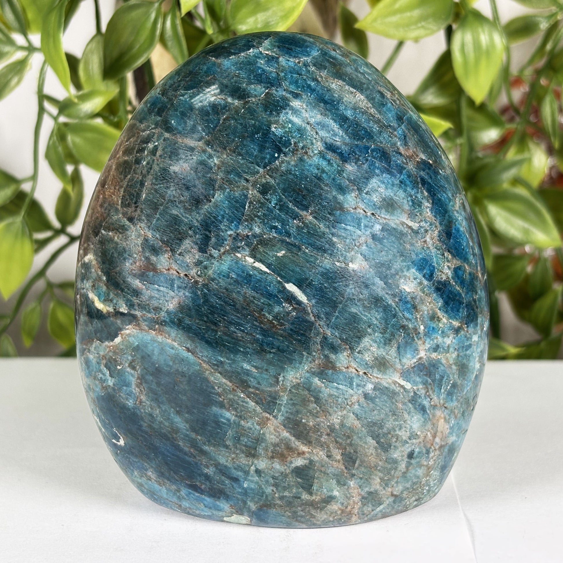 Apatite Crystal Freeform - Gem Avenue Retail