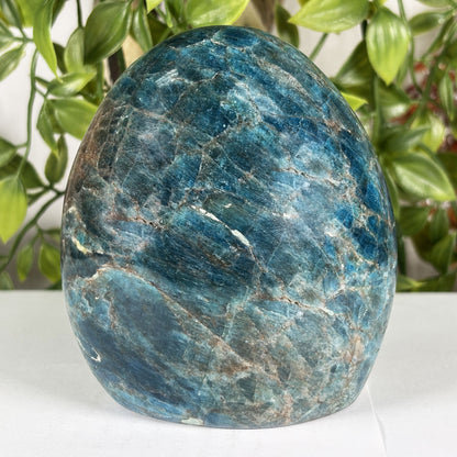 Madagascar Blue Apatite Freeform Crystal Specimen 4" Tall