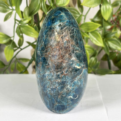 Apatite Crystal Freeform - Gem Avenue Retail