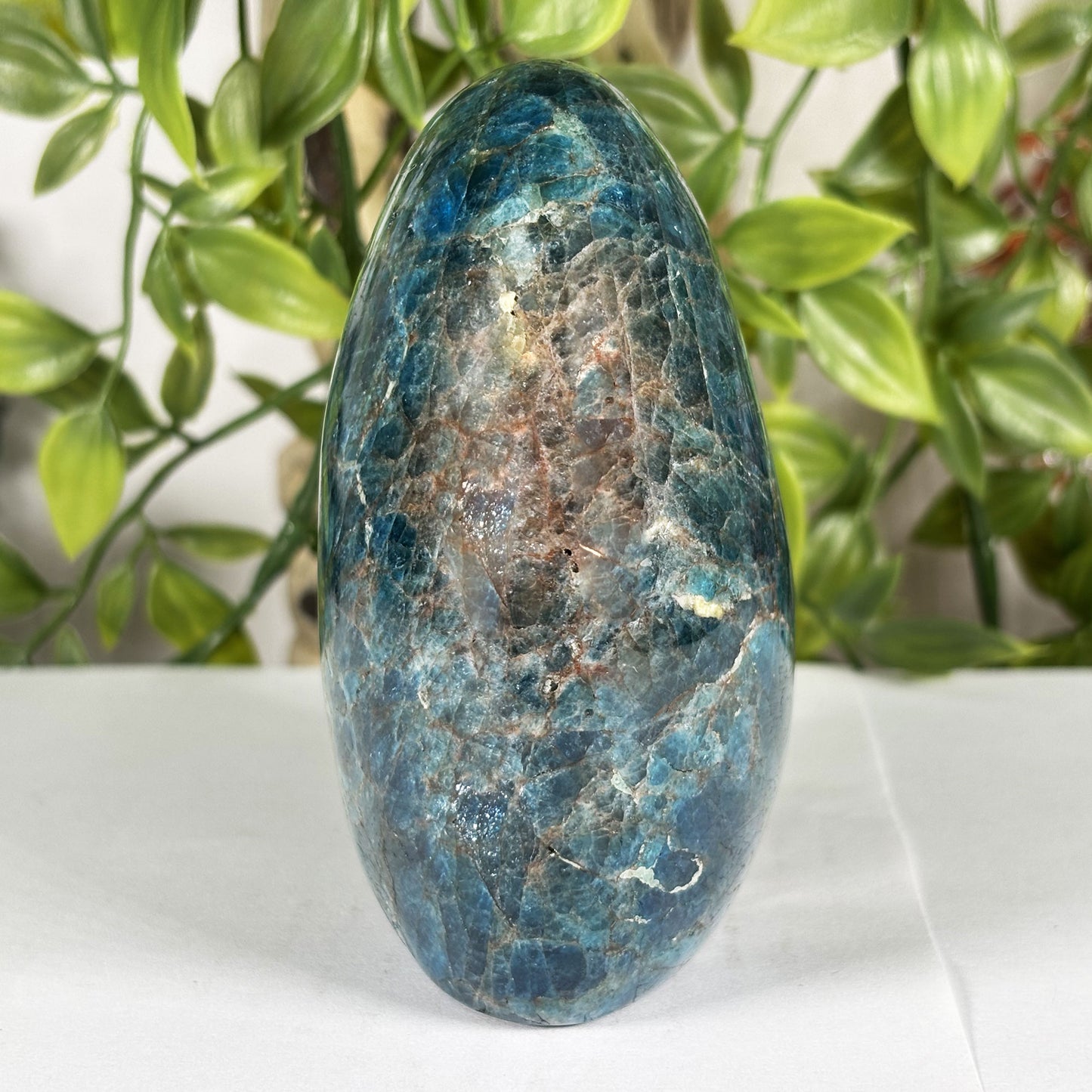 Madagascar Blue Apatite Freeform Crystal Specimen 4" Tall