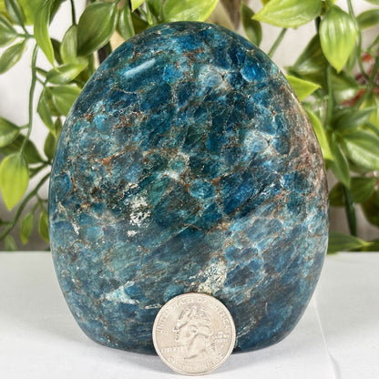 Madagascar Blue Apatite Freeform Crystal Specimen 4" Tall