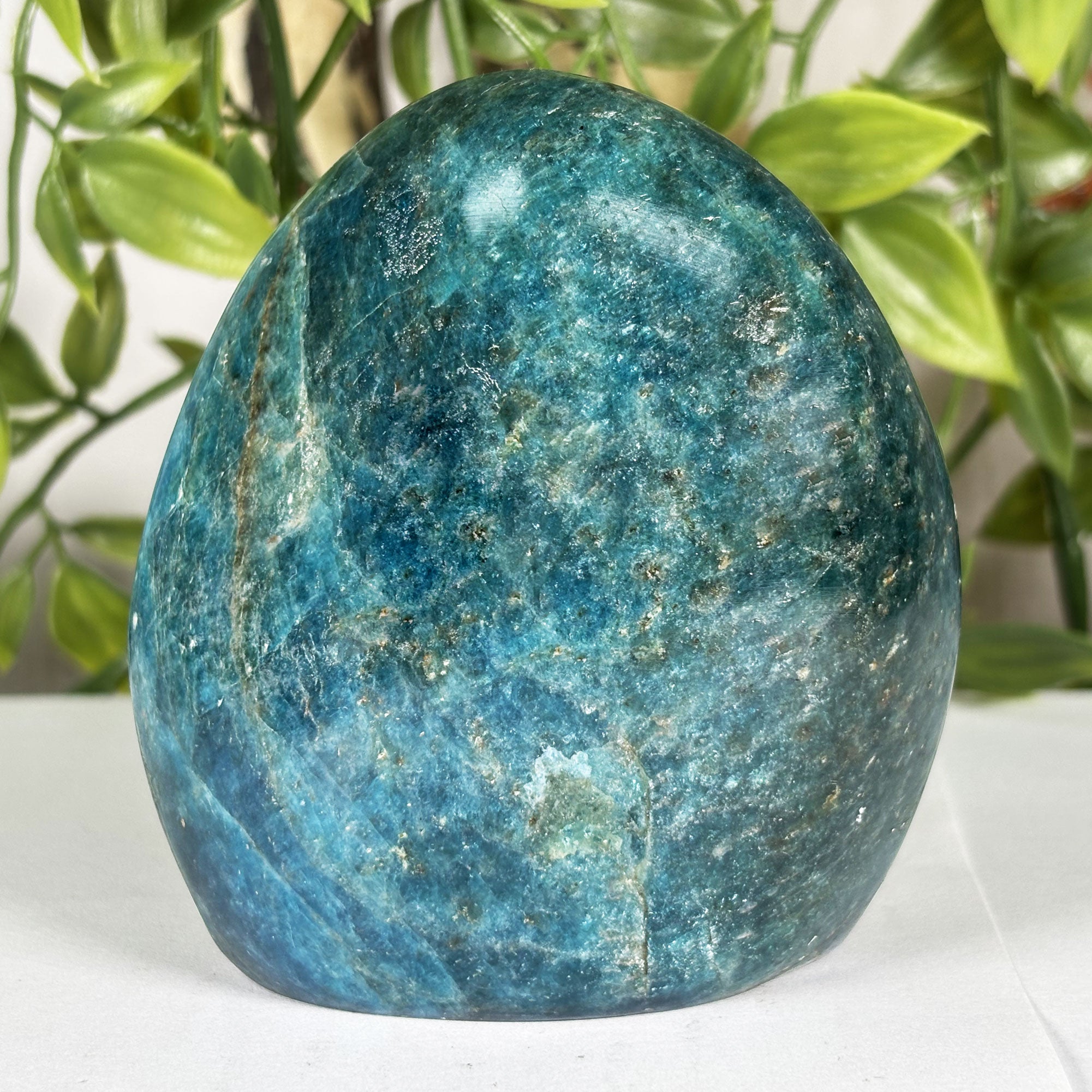 マダガスカルで購入、286 gr. Madagascar Blue Apatite Freeform Compact Crystal Specimen RPS606