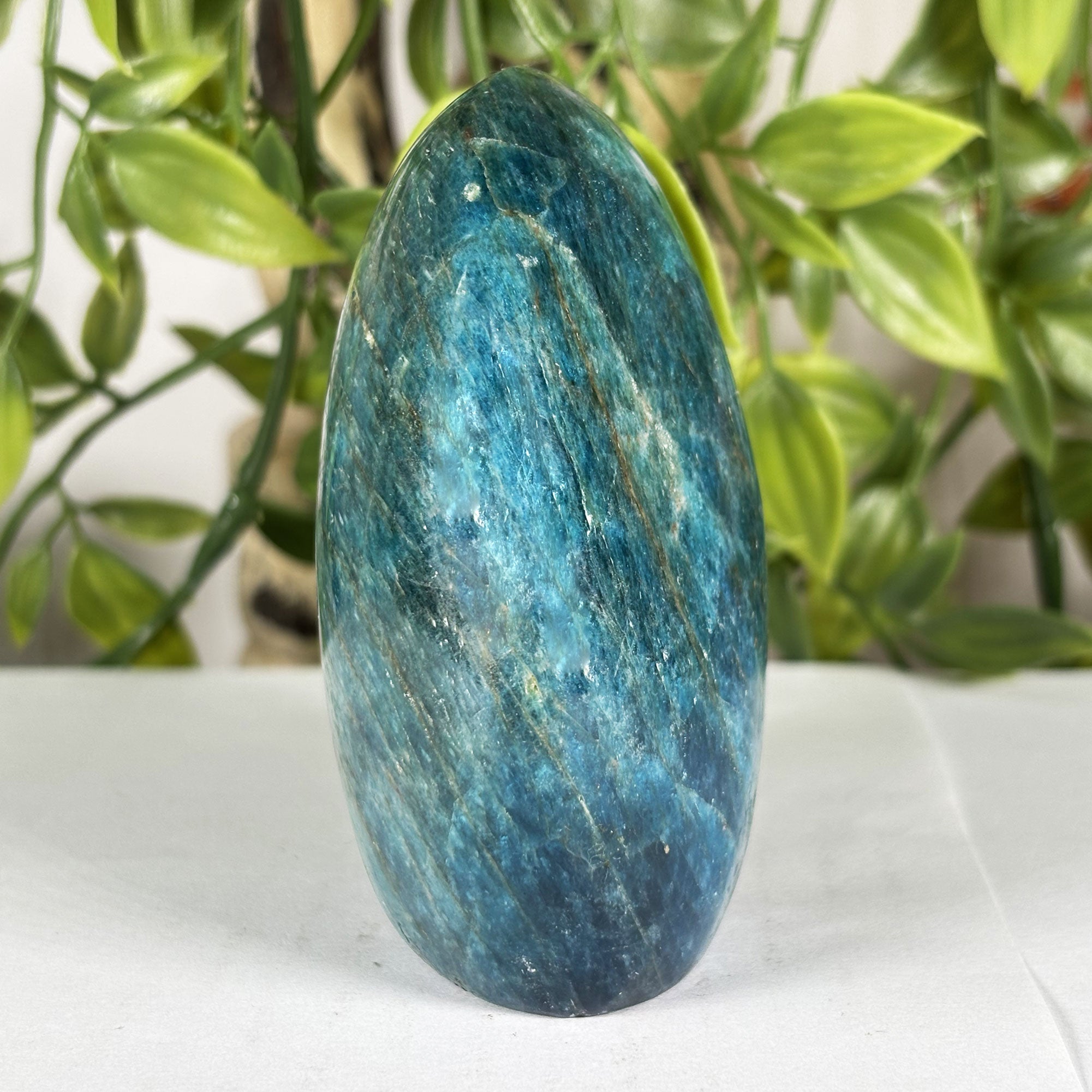 Madagascar Blue Apatite Freeform Compact Crystal Specimen RPS606