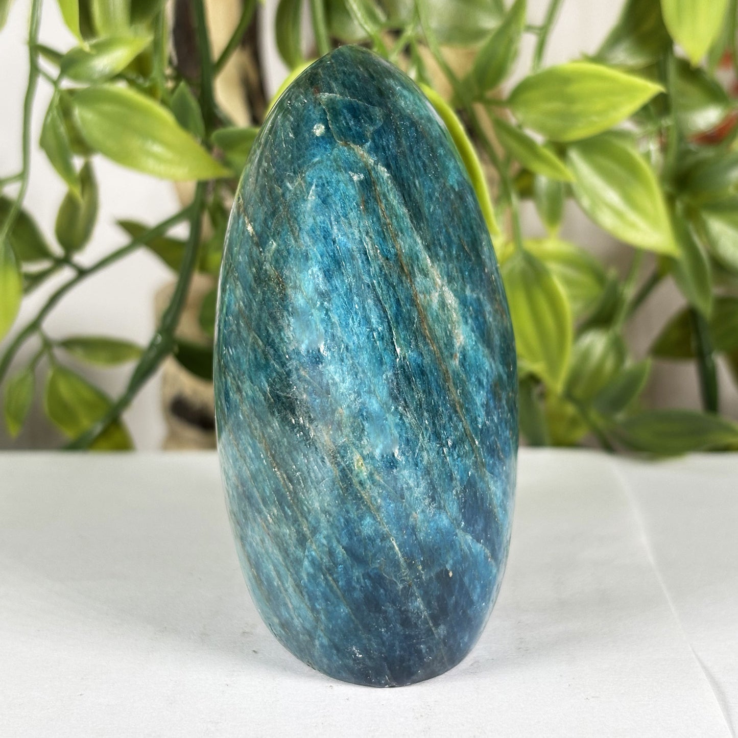 Apatite Crystal Freeform - Gem Avenue Retail