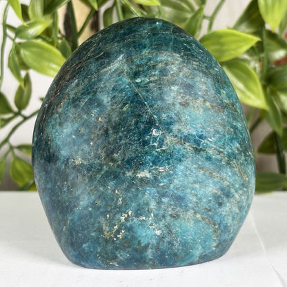 Apatite Crystal Freeform - Gem Avenue Retail
