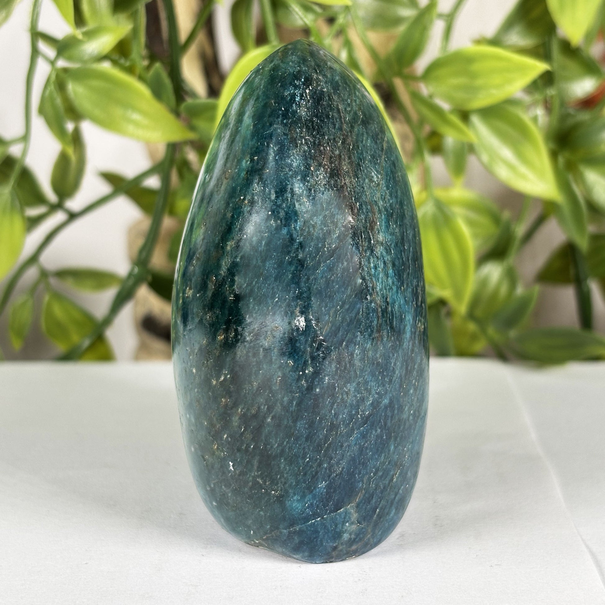 Apatite Crystal Freeform - Gem Avenue Retail