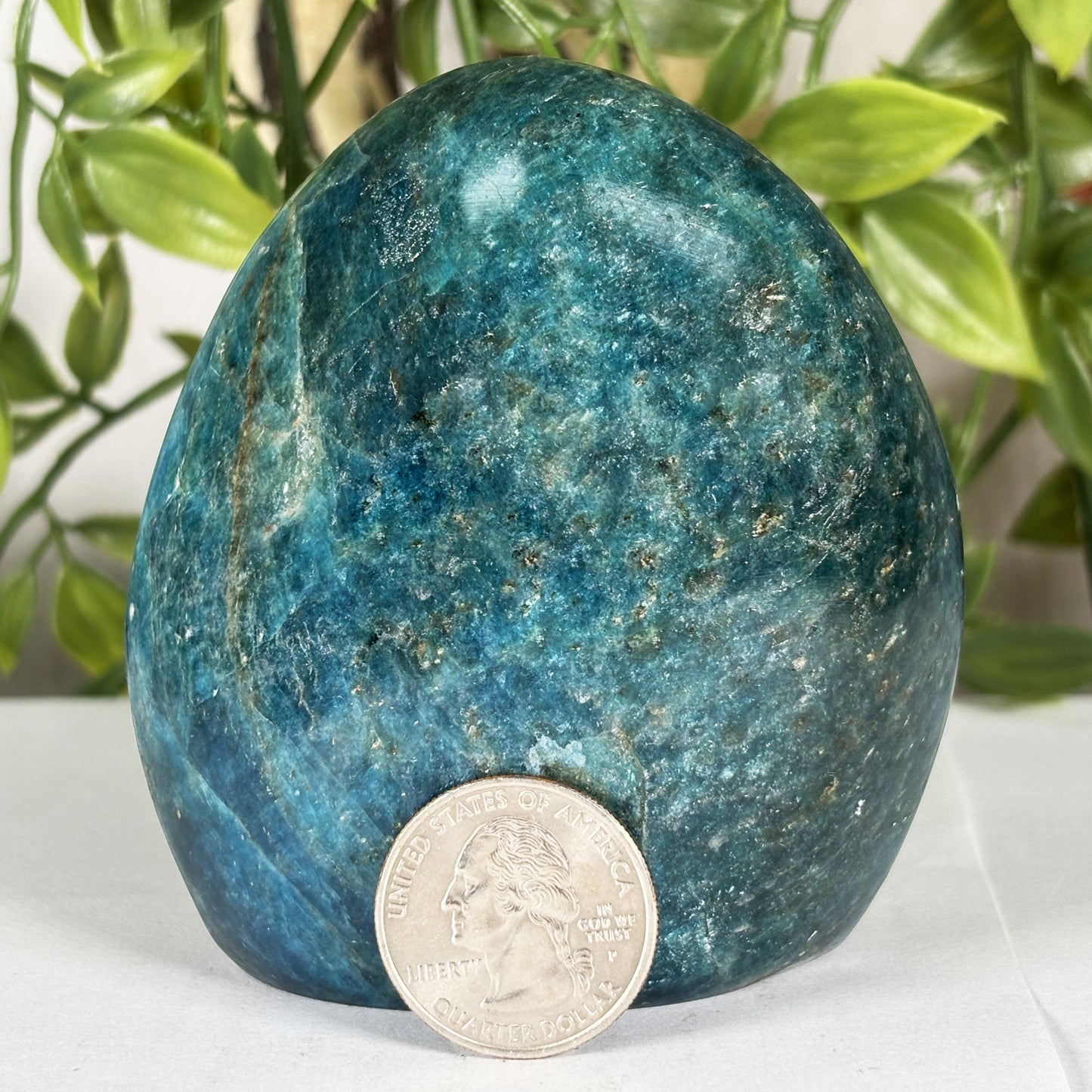 Apatite Crystal Freeform - Gem Avenue Retail