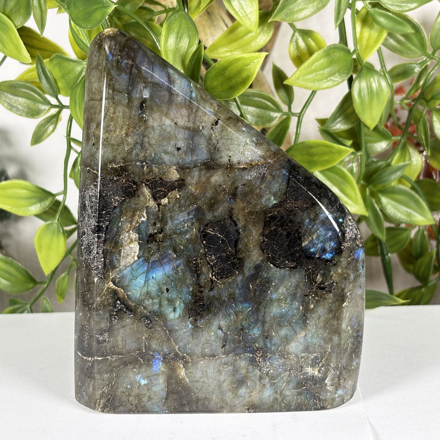 Labradorite Crystal Freeform - Gem Avenue Retail