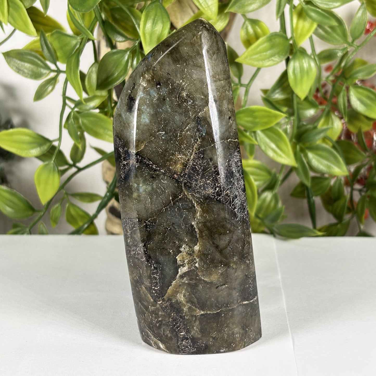 Labradorite Crystal Freeform - Gem Avenue Retail