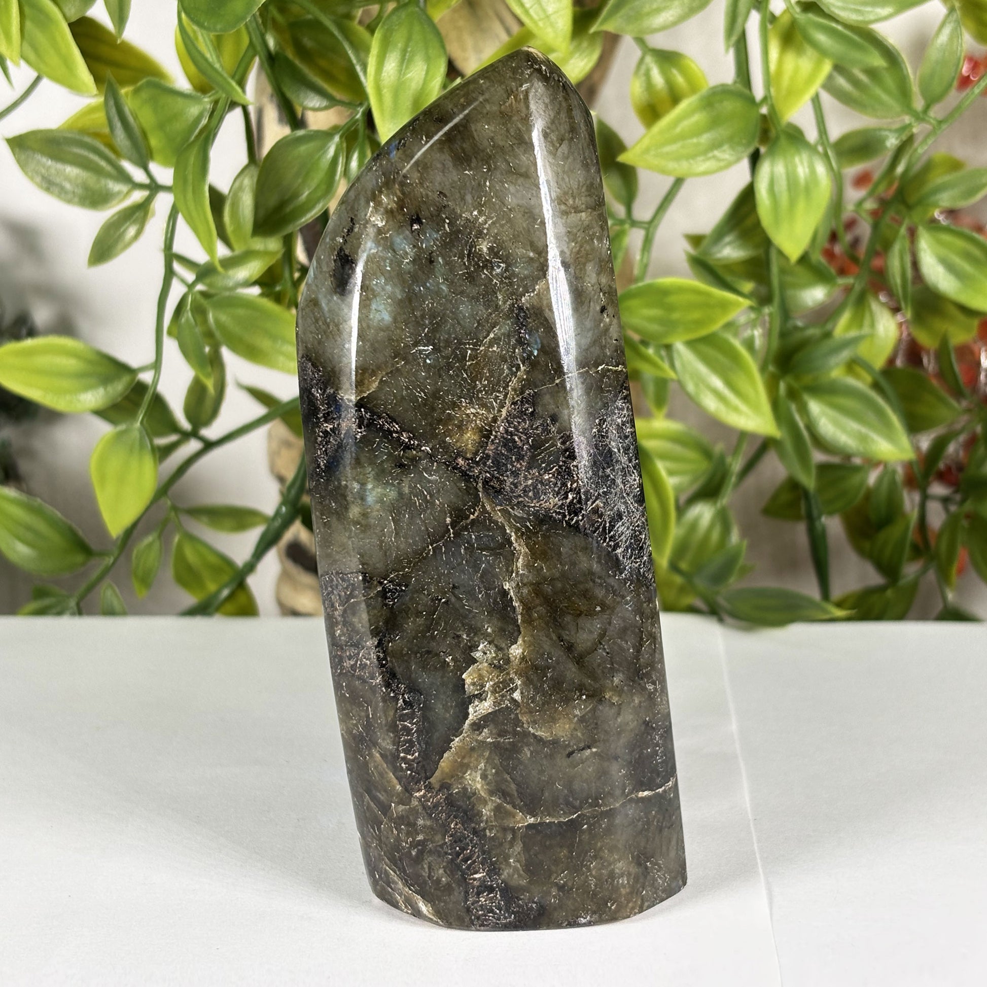 Labradorite Crystal Freeform - Gem Avenue Retail