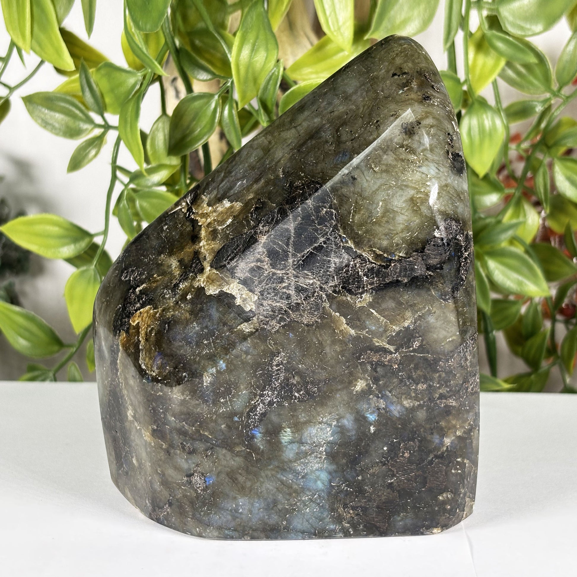 Labradorite Crystal Freeform - Gem Avenue Retail