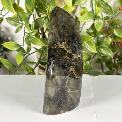 Labradorite Crystal Freeform - Gem Avenue Retail