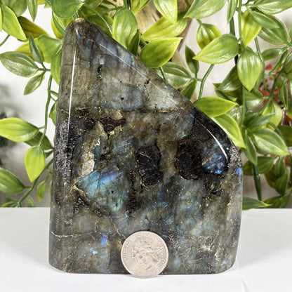 Labradorite Crystal Freeform - Gem Avenue Retail