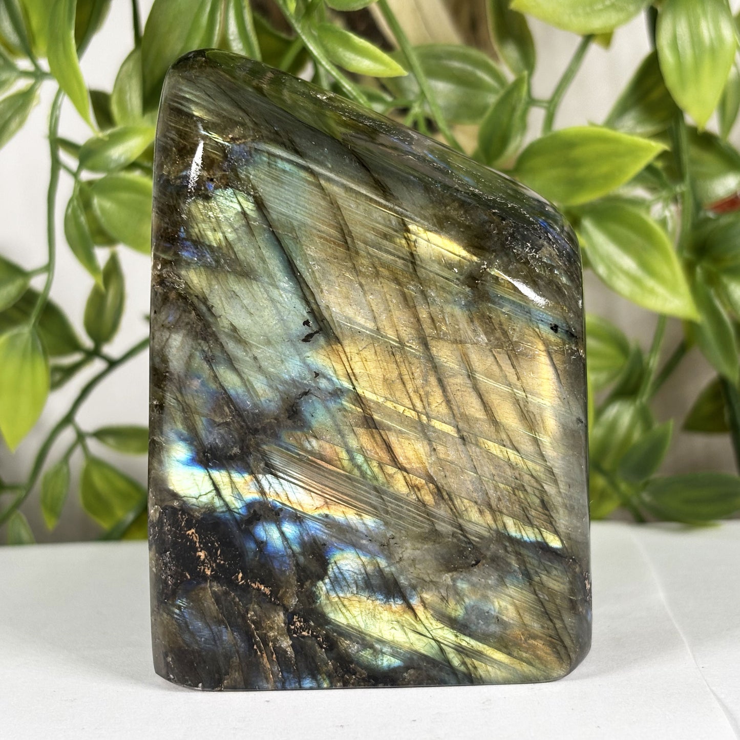 Labradorite Crystal Freeform - Gem Avenue Retail