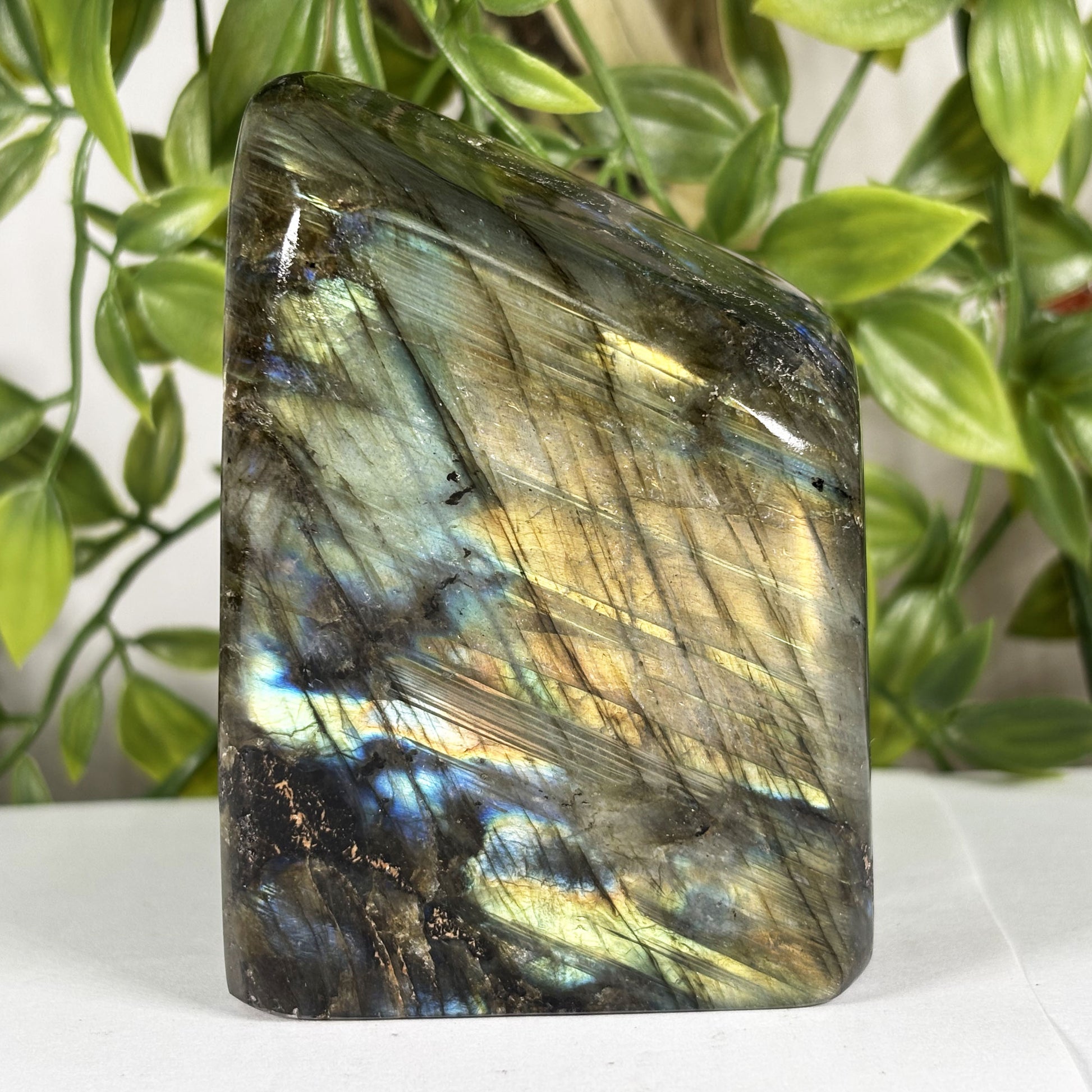 Labradorite Crystal Freeform - Gem Avenue Retail