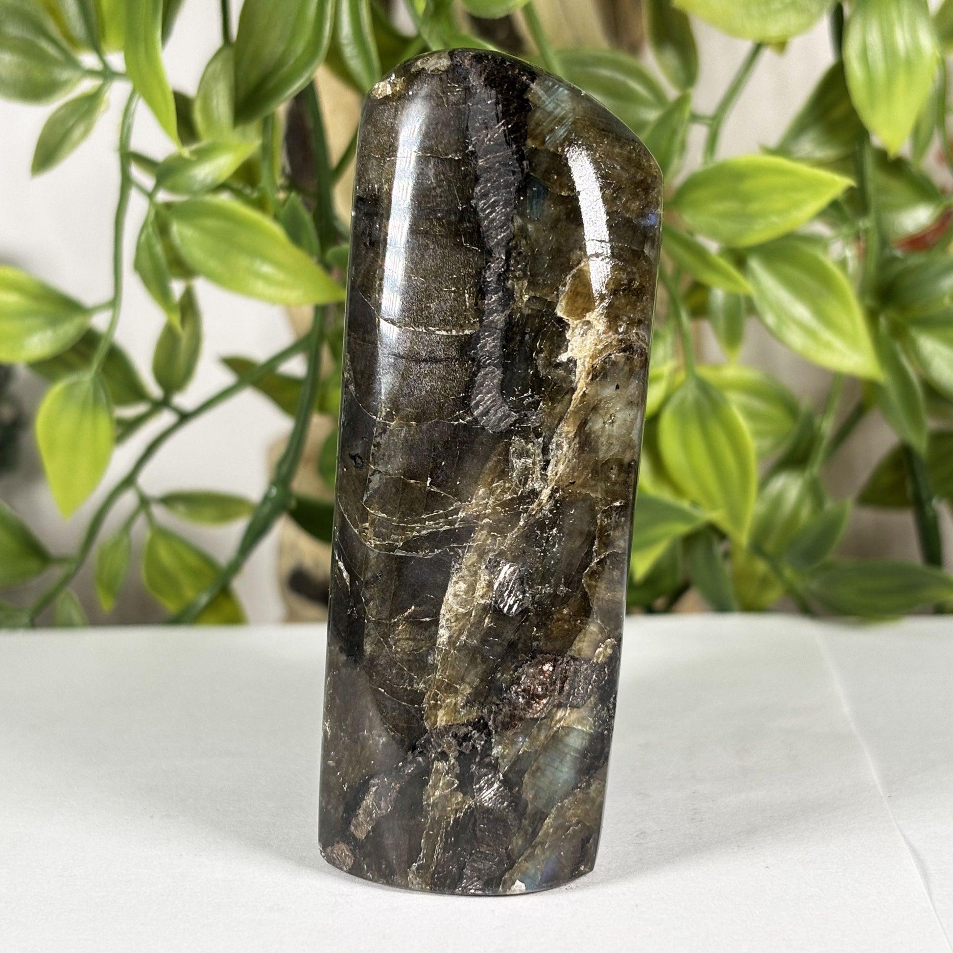 Labradorite Crystal Freeform - Gem Avenue Retail