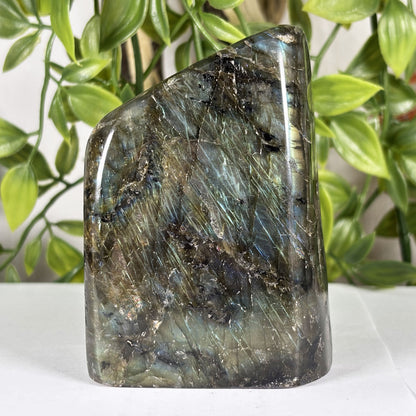 Labradorite Crystal Freeform - Gem Avenue Retail