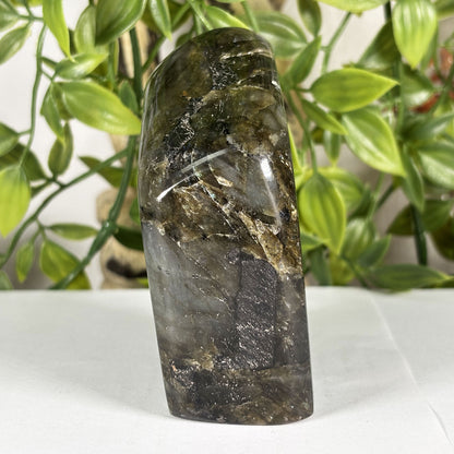 Labradorite Crystal Freeform - Gem Avenue Retail