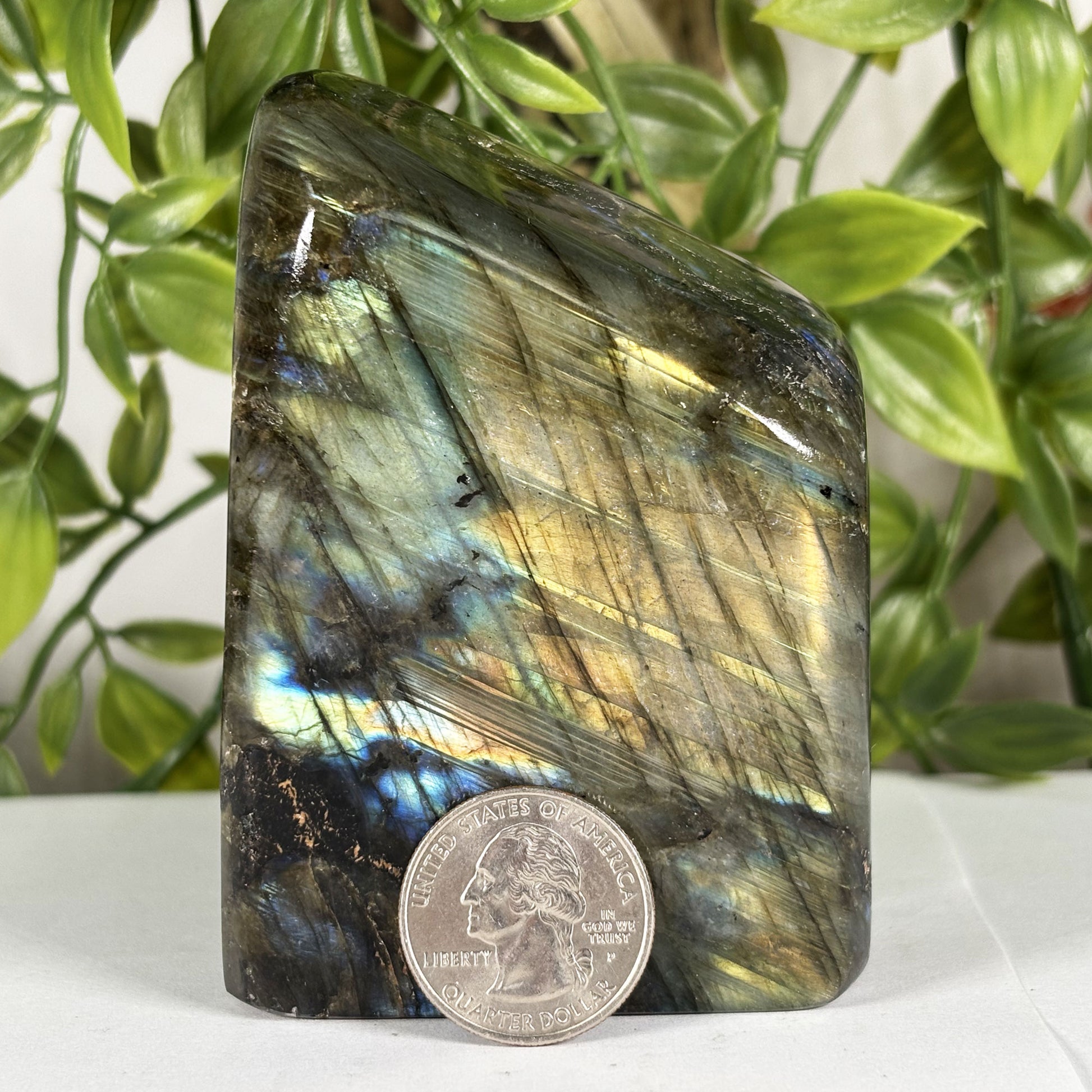 Labradorite Crystal Freeform - Gem Avenue Retail