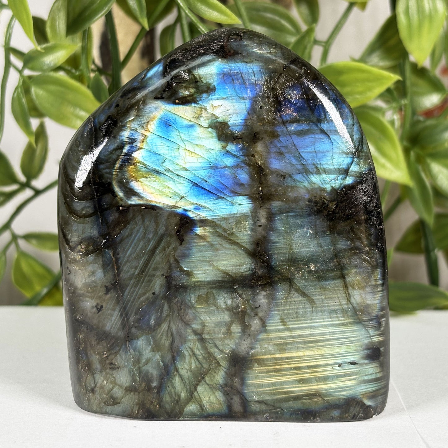 Labradorite Crystal Freeform - Gem Avenue Retail 