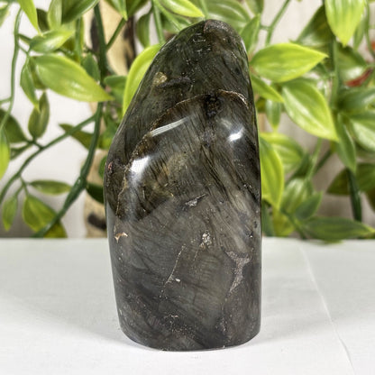 Labradorite Crystal Freeform - Gem Avenue Retail 