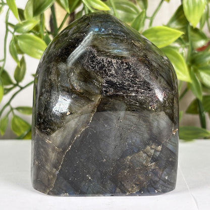 Labradorite Crystal Freeform - Gem Avenue Retail 