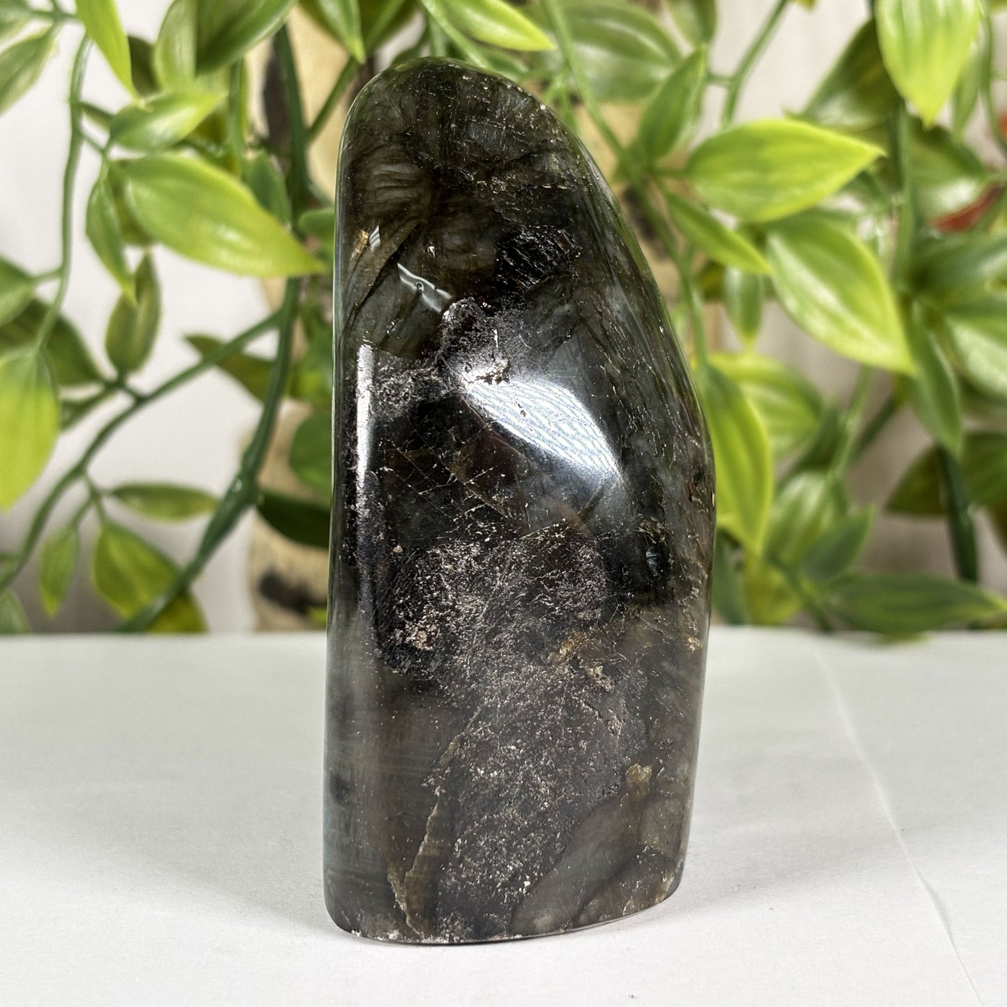 Labradorite Crystal Freeform - Gem Avenue Retail 