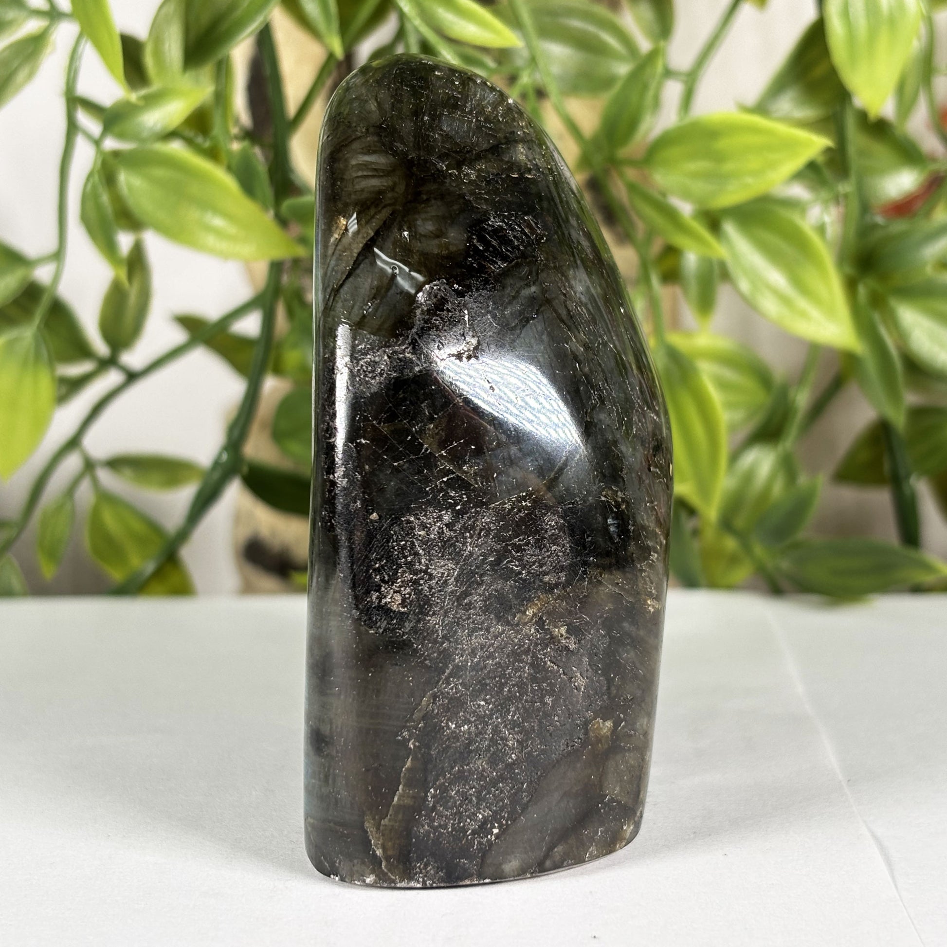 Labradorite Crystal Freeform - Gem Avenue Retail 