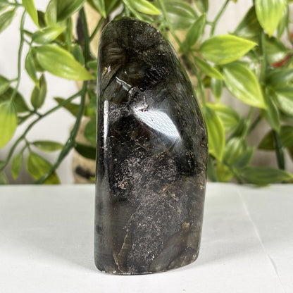 Labradorite Crystal Freeform - Gem Avenue Retail 