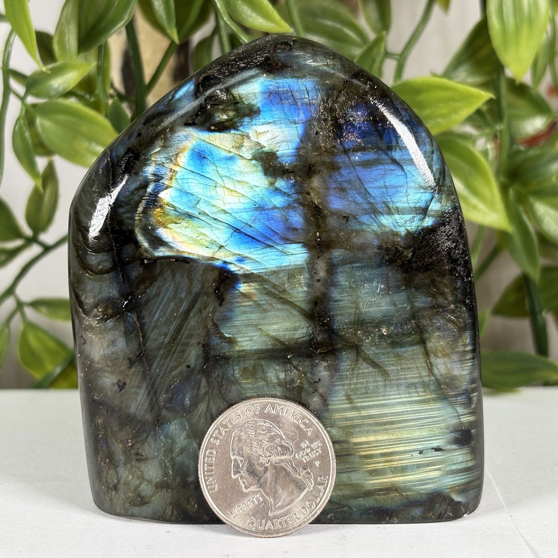 Labradorite Crystal Freeform - Gem Avenue Retail 
