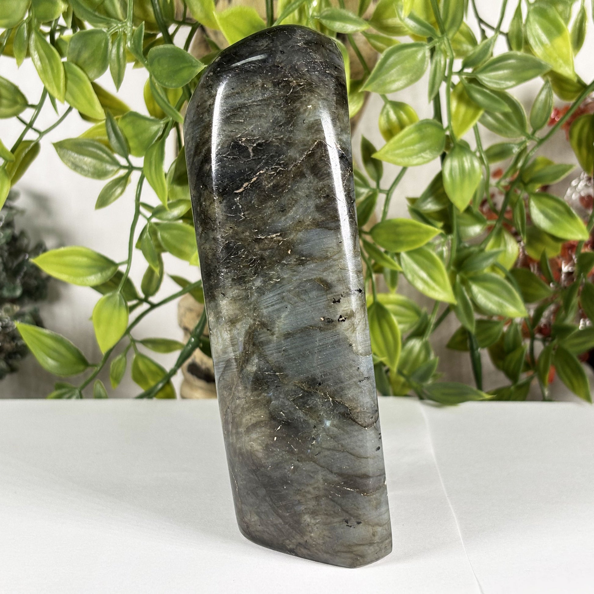Labradorite Crystal Freeform - Gem Avenue Retail