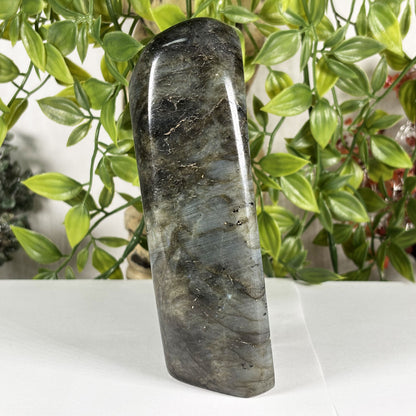 Labradorite Crystal Freeform - Gem Avenue Retail