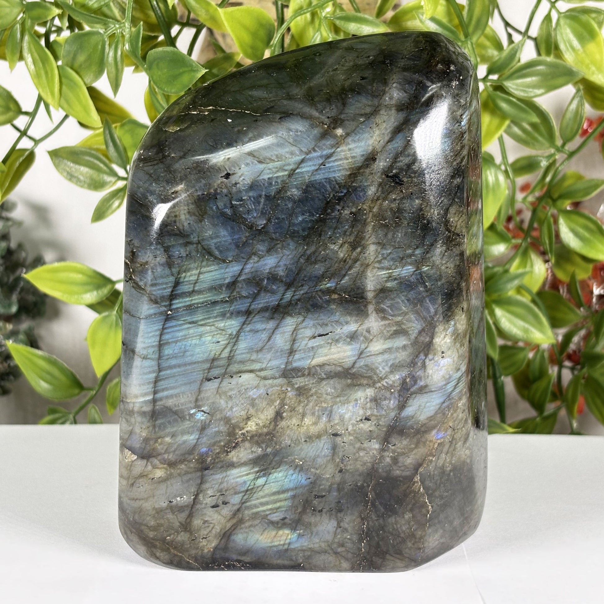 Labradorite Crystal Freeform - Gem Avenue Retail