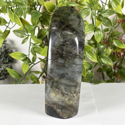 Labradorite Crystal Freeform - Gem Avenue Retail