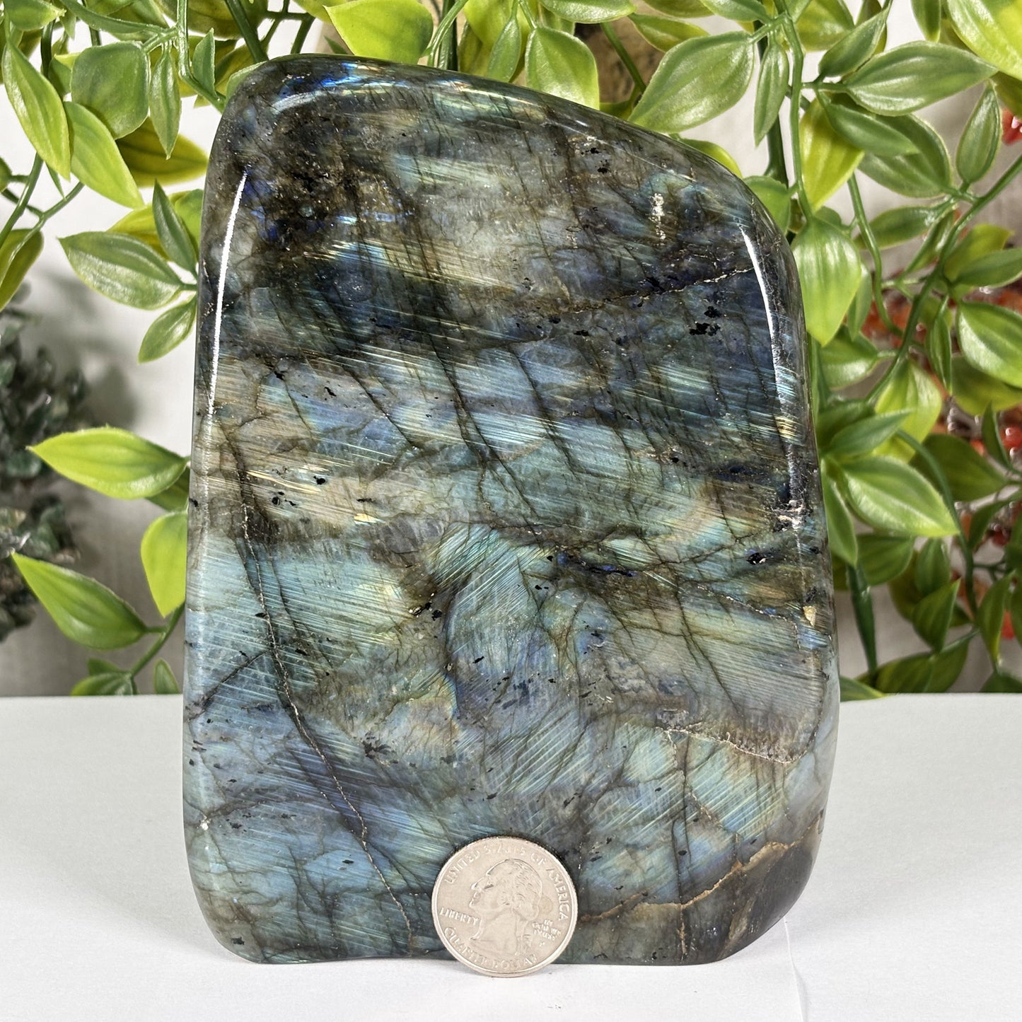 Labradorite Crystal Freeform - Gem Avenue Retail