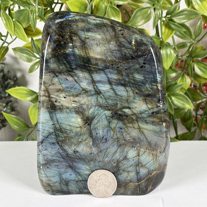 Labradorite Crystal Freeform - Gem Avenue Retail