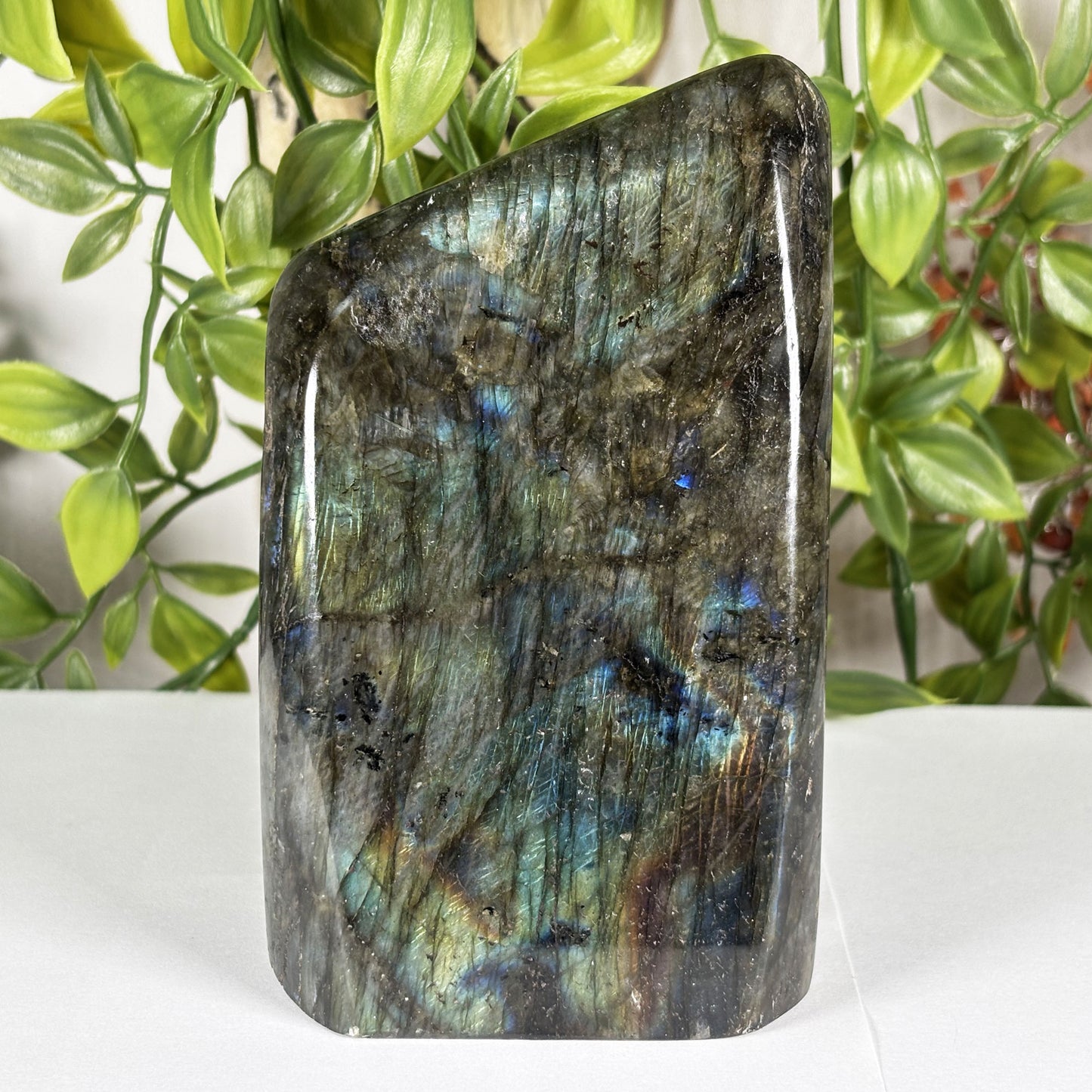 Labradorite Crystal Freeform - Gem Avenue Retail