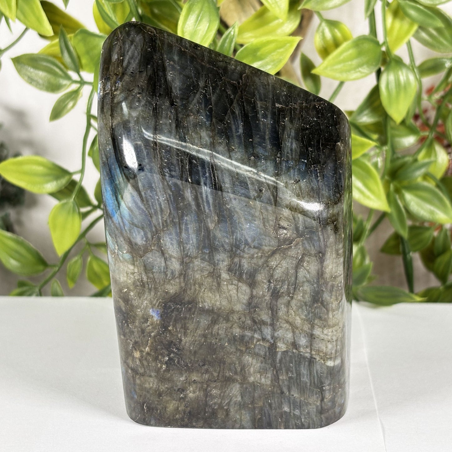 Labradorite Crystal Freeform - Gem Avenue Retail