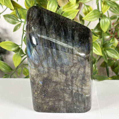 Labradorite Crystal Freeform - Gem Avenue Retail