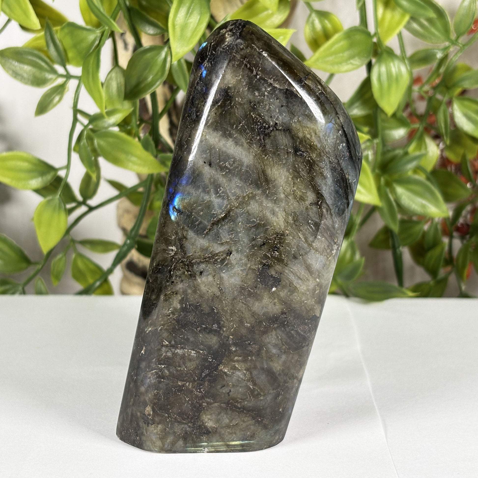Labradorite Crystal Freeform - Gem Avenue Retail