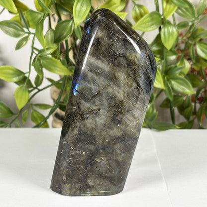 Labradorite Crystal Freeform - Gem Avenue Retail