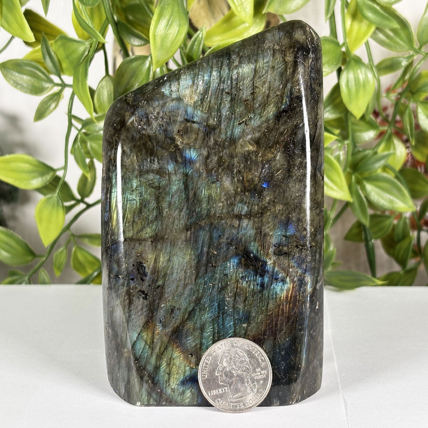 Labradorite Crystal Freeform - Gem Avenue Retail