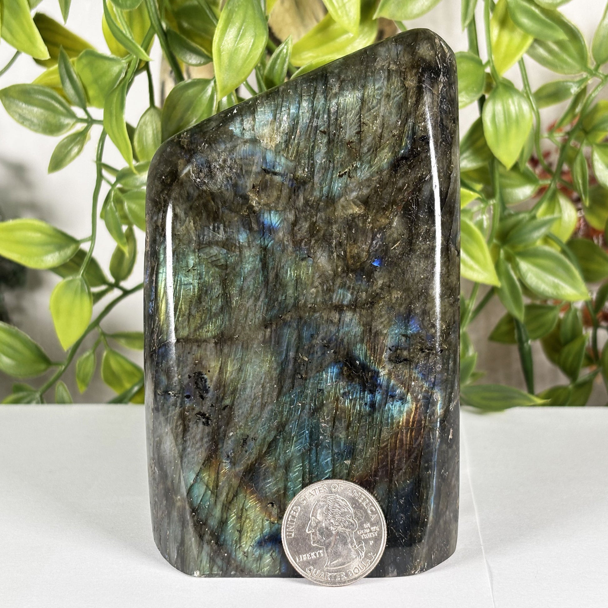 Labradorite Crystal Freeform - Gem Avenue Retail