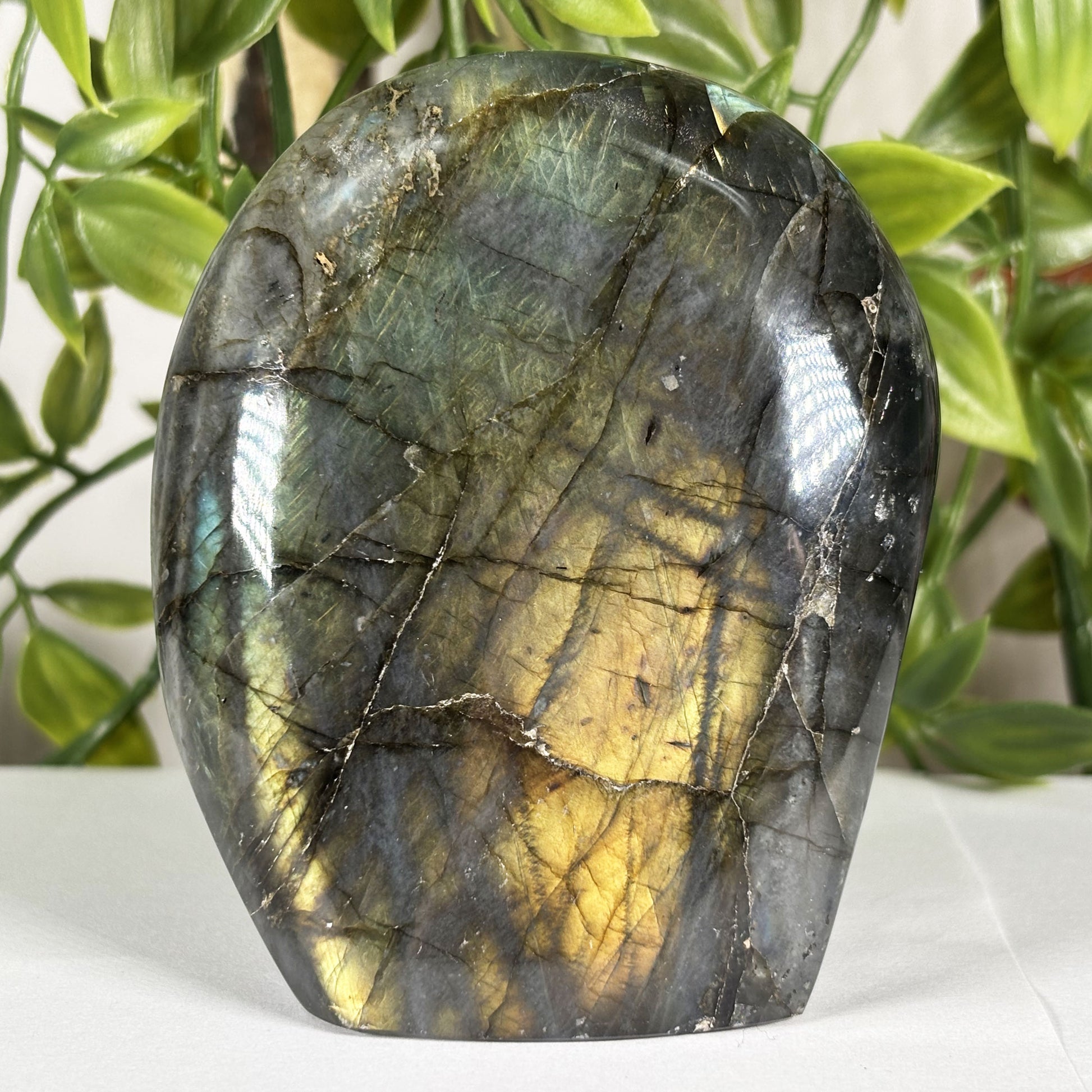 Labradorite Crystal Freeform - Gem Avenue Retail
