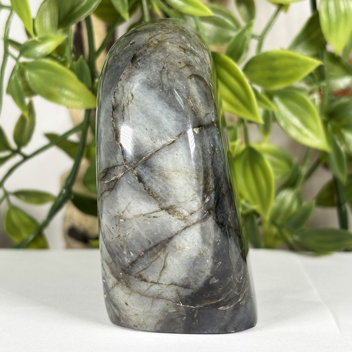 Labradorite Crystal Freeform - Gem Avenue Retail
