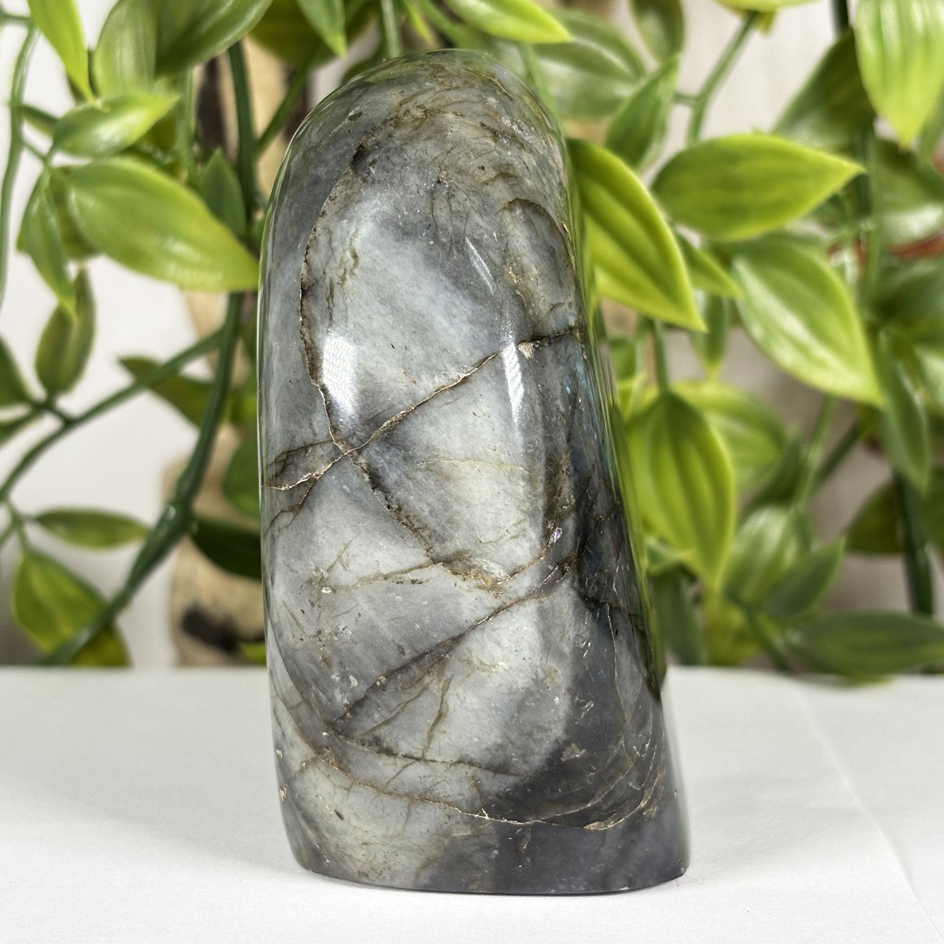 Labradorite Crystal Freeform - Gem Avenue Retail
