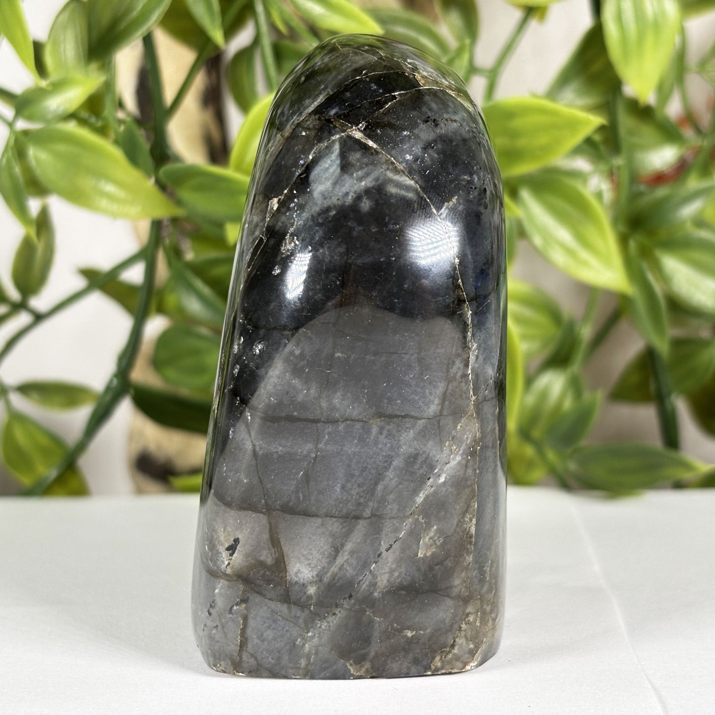 Labradorite Crystal Freeform - Gem Avenue Retail
