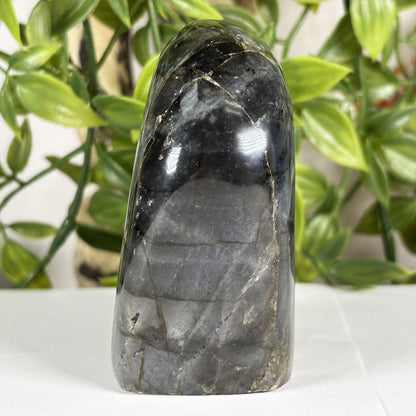 Labradorite Crystal Freeform - Gem Avenue Retail